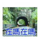 簡単見積もり4（個別スタンプ：34）