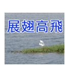 簡単見積もり4（個別スタンプ：40）