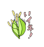 モデル生物のみなさま（個別スタンプ：13）