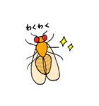 モデル生物のみなさま（個別スタンプ：20）