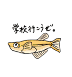 モデル生物のみなさま（個別スタンプ：22）