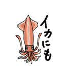 モデル生物のみなさま（個別スタンプ：24）
