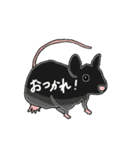 モデル生物のみなさま（個別スタンプ：30）
