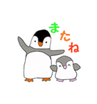 ペンギンきょうだいわっくんとななおちゃん（個別スタンプ：12）