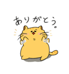 ミケぽちゃネコ。（個別スタンプ：1）