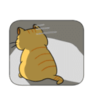 ミケぽちゃネコ。（個別スタンプ：12）