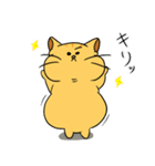 ミケぽちゃネコ。（個別スタンプ：13）