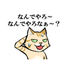 ねこのチャロさん（個別スタンプ：1）