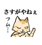 ねこのチャロさん（個別スタンプ：2）