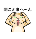 ねこのチャロさん（個別スタンプ：3）