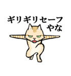 ねこのチャロさん（個別スタンプ：5）