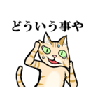 ねこのチャロさん（個別スタンプ：8）