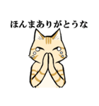 ねこのチャロさん（個別スタンプ：9）