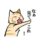 ねこのチャロさん（個別スタンプ：14）