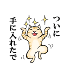 ねこのチャロさん（個別スタンプ：15）