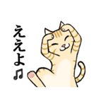 ねこのチャロさん（個別スタンプ：16）