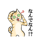 ねこのチャロさん（個別スタンプ：17）