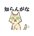 ねこのチャロさん（個別スタンプ：18）