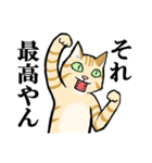 ねこのチャロさん（個別スタンプ：19）