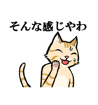 ねこのチャロさん（個別スタンプ：20）