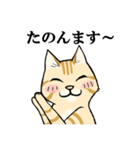 ねこのチャロさん（個別スタンプ：21）