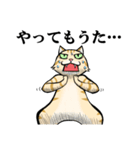 ねこのチャロさん（個別スタンプ：23）