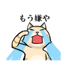 ねこのチャロさん（個別スタンプ：24）