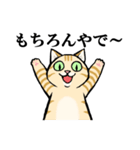 ねこのチャロさん（個別スタンプ：30）