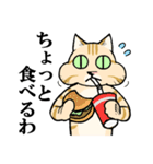 ねこのチャロさん（個別スタンプ：31）