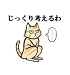 ねこのチャロさん（個別スタンプ：33）