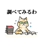 ねこのチャロさん（個別スタンプ：34）