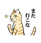 ねこのチャロさん（個別スタンプ：35）