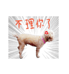 bi（個別スタンプ：1）