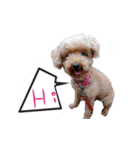 bi（個別スタンプ：2）
