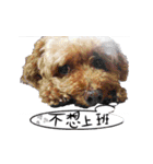bi（個別スタンプ：3）