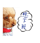 bi（個別スタンプ：7）