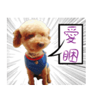 bi（個別スタンプ：8）