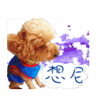 bi（個別スタンプ：9）