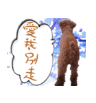 bi（個別スタンプ：10）
