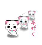ゆる猫ちゃちゃと夜久兎の日常（個別スタンプ：24）