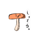 しいたけ先輩（個別スタンプ：13）