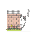 ハチワレネコ ミルちゃんの日常（個別スタンプ：3）