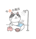 ハチワレネコ ミルちゃんの日常（個別スタンプ：12）