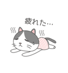 ハチワレネコ ミルちゃんの日常（個別スタンプ：14）