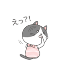 ハチワレネコ ミルちゃんの日常（個別スタンプ：20）