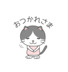 ハチワレネコ ミルちゃんの日常（個別スタンプ：21）