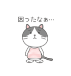 ハチワレネコ ミルちゃんの日常（個別スタンプ：33）