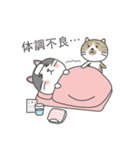 ハチワレネコ ミルちゃんの日常（個別スタンプ：34）