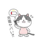 ハチワレネコ ミルちゃんの日常（個別スタンプ：35）