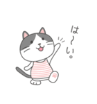 ハチワレネコ ミルちゃんの日常（個別スタンプ：37）